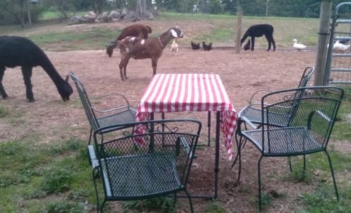 Someday Farm Canterbury