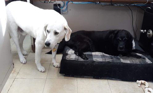 Guinards PC Consulting LLC Contoocook