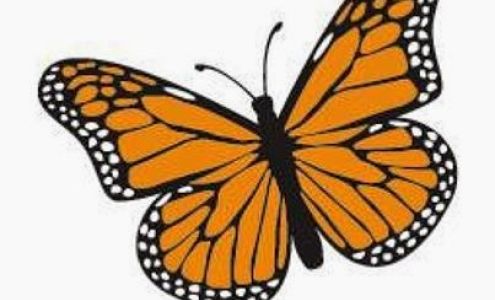 Rinella Printers Ltd