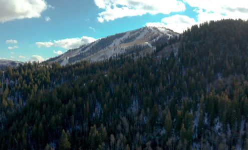 Brad Thompson Real Estate, Summit|Sotheby's Intr'l Realty