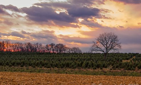 Unangst Tree Farms, LLC Bath