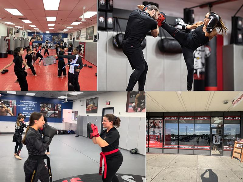 Tiger Schulmann's Martial Arts (Bethlehem, PA)