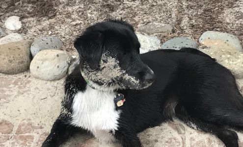 Logan's Heroes East Greenville