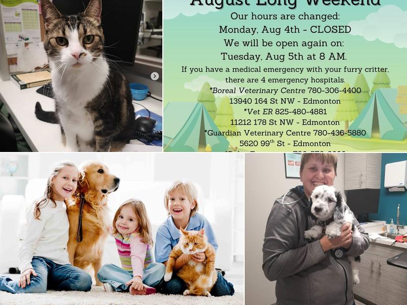 Emerald Hills Veterinary Clinic