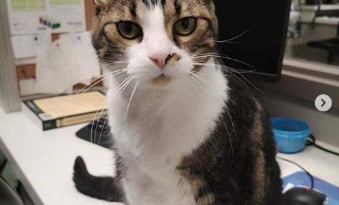 Emerald Hills Veterinary Clinic 5000 Emerald Dr #230, Sherwood Park Alberta T8H 0P5