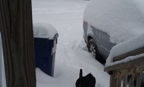 Alanson Trailer Park Alanson