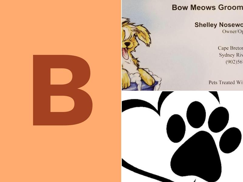 Bow Meow Pet Grooming