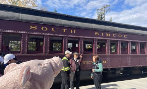 Tottenham Feed Service Ltd Tottenham