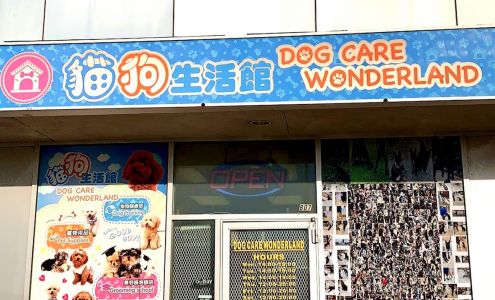 Dog Care Wonderland