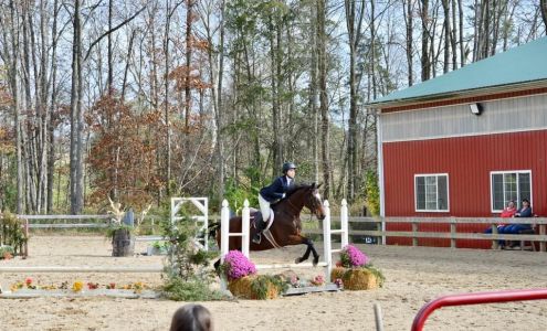 Cedar Valley Stables Reinholds