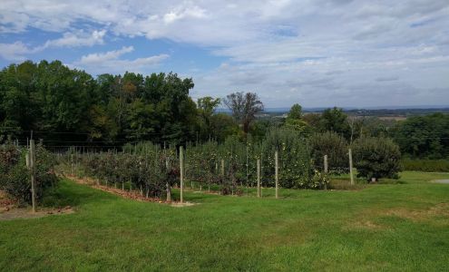 Preston Orchards Wernersville
