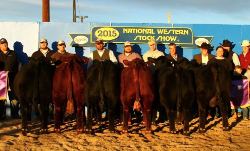 G G & T Cattle Co Quinter