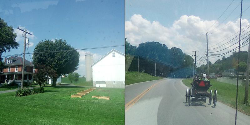 Quarryville Herd Health Associates