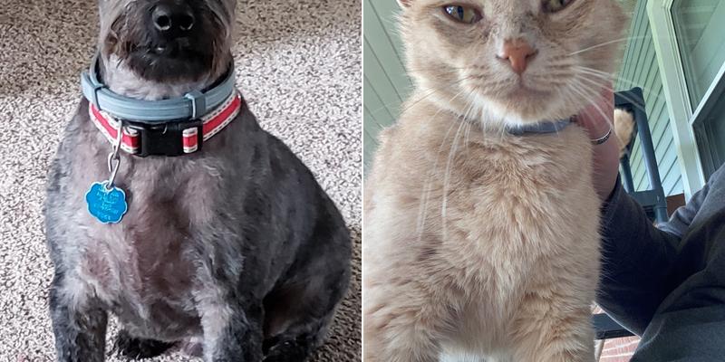 Carroll Crossing Animal Hospital