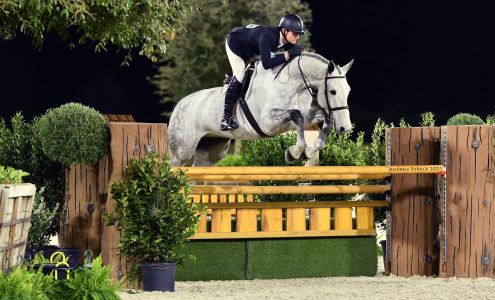 Ashcombe Sporthorses, LLC - Hunter/Jumper Training, Lessons and Sales Glen Rock