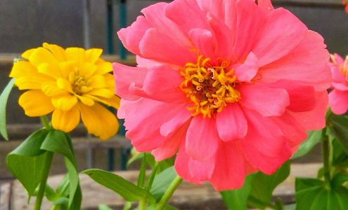 Hi Grade Farm Supply & Gin Winona