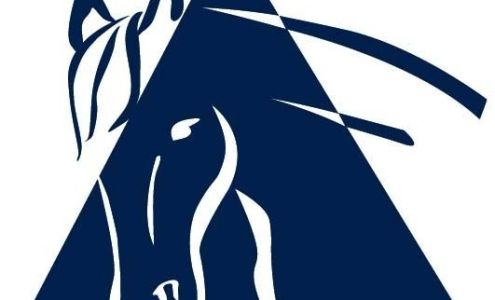 Pinnacle Equine Hospital