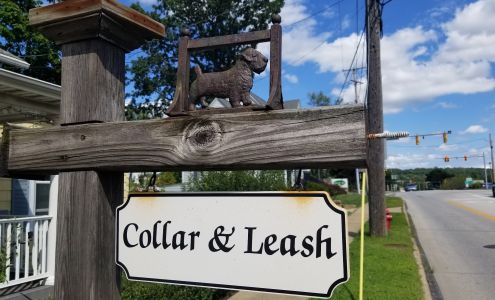 Collar & Leash