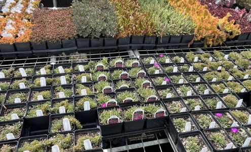 Giambrocco & Sons Boulder Nursery