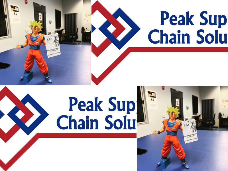 Peak Supply Chain Solutions - PeakDTW