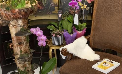 creationsfleursdesbois.ca Chibougamau