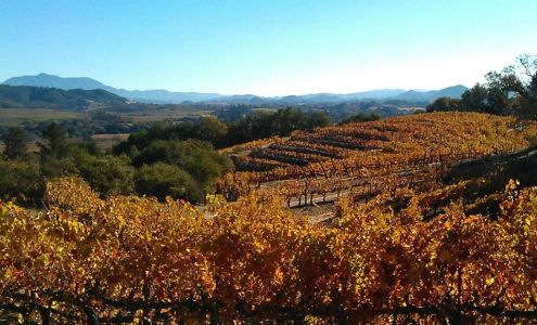 Romy Campbell REALTOR® - Wine Country Fine Homes