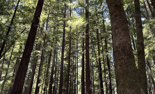 Kelly Marie Sullivan - Your Real Estate Gal!