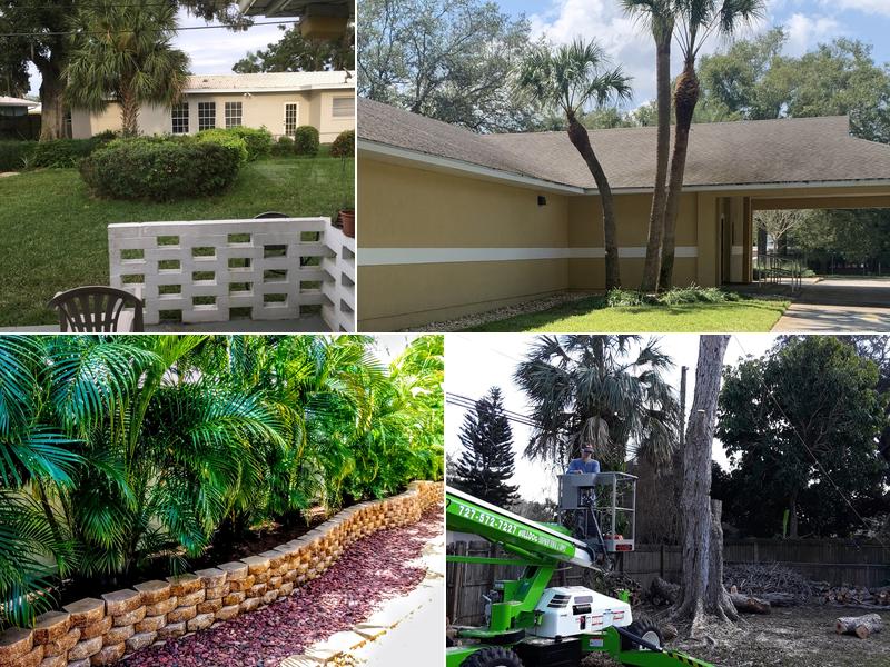 Affordable Tree Service of Pinellas