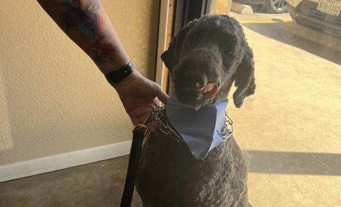 Kelly's K-9 Grooming 5126 45a Ave, Vegreville Alberta T9C 1L4