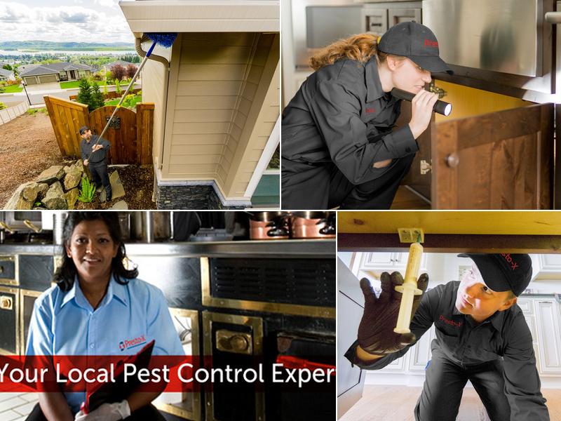 Presto-X Pest Control