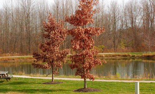 Indiana Health Group