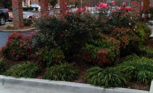 Red Roof Inn & Suites Cleveland, TN