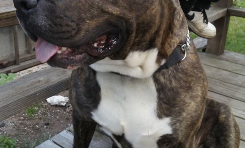 A American Floor Contractors