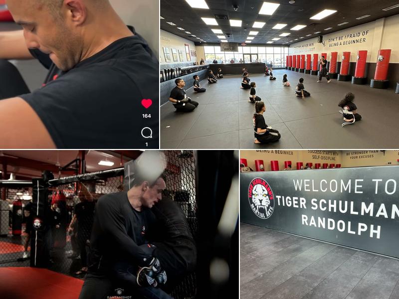 Tiger Schulmann's Martial Arts (Randolph, NJ)