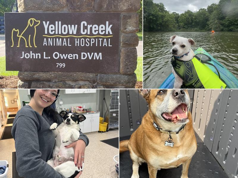 Yellow Creek Veterinary Surgery & Imaging