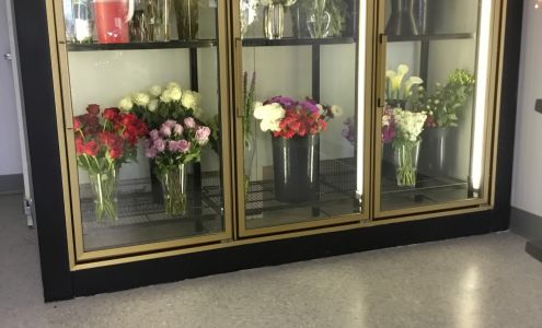 Green Belladonna Florist