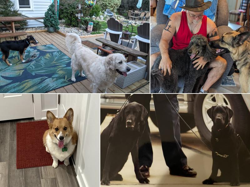 Pet State University & HomeStyle Boarding