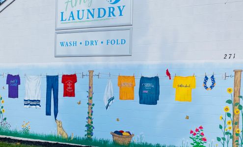 Amy's Laundry