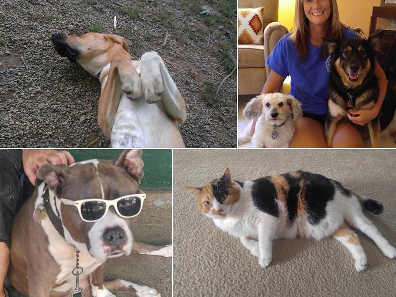 Furry Companions Pet Care