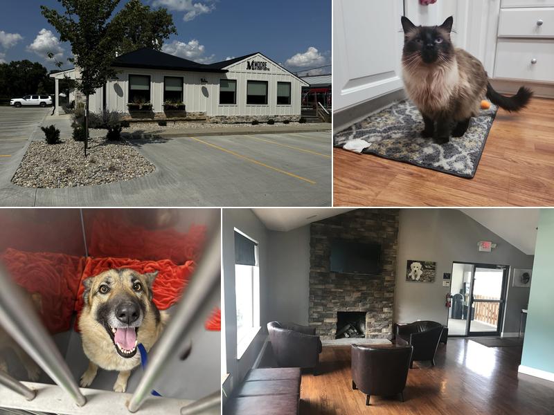 Moore Veterinary Hospital