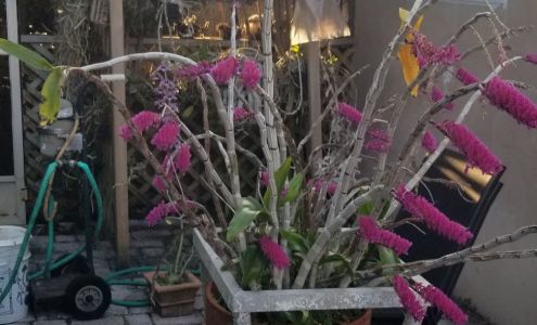 Green Valley Orchids, Inc.