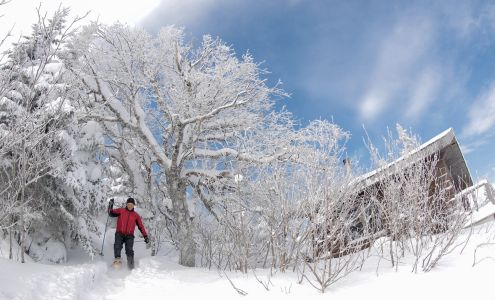 Montagne du Diable Regional Park Ferme-Neuve