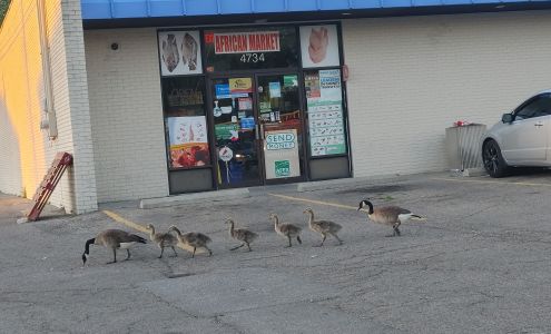 Whitehall Development Shopping Center
