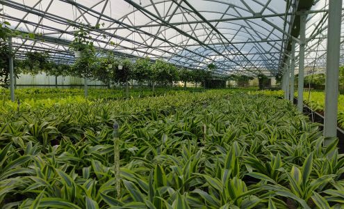 Bruce Jensen Nurseries