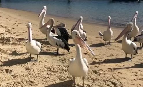 Children's Express Learning West Jefferson