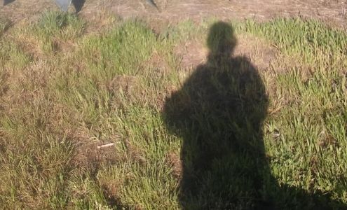 Canon Repair Shop Broadus