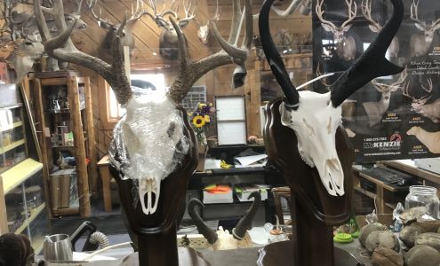 Powder River Taxidermy Broadus