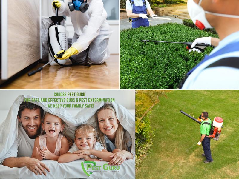 Pest Guru - Pest Control and Bugs Exterminator