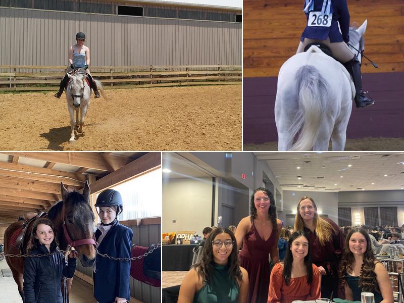 Equine Differences