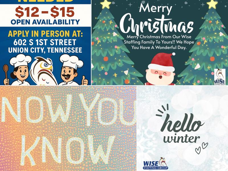 Wise Staffing Services